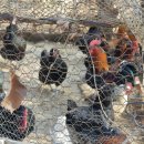 김포평화누리길 1코스 이미지