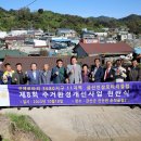 금산인삼사업 이미지