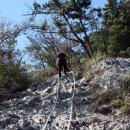 구불8길(고군산길) 이미지