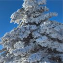 동주길 | 인천서구점집 여러 군데 고민하다가 결국 별상동자에서 상담받고 정리된 마음..^^