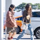 다운컴퍼니