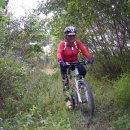 백양농장 이미지