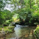 숲속의 하얀집 이미지