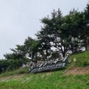 양학약국 | 신경계검사 2개⭐ 고려대학교의료원안암병원 신경과 후기 8차 (진료/대학병원 가격/처방전/두통약/고대...