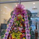 온담안경원 네이버블로그