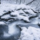 남대전엑스포종합정비 이미지