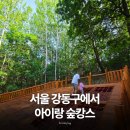수색한숲도서관 | 앨리스유아숲체험원 후기, 아이와 종일 놀기 좋았던 강동구 숲놀이터
