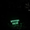 루나폴 네이버블로그