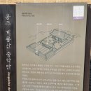 세도농협주유소 Daum카페