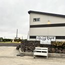 수줍은 언니네 이미지