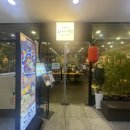 삼환(아) | 판교 삼환 하이펙스 맛집 직장인들 왜 여기서 다 밥먹는지 알겠다 - 고다이주방 후기