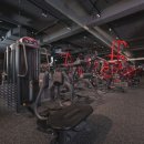 바디메이트 짐 이미지