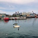 장고도4 이미지