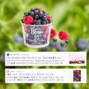 평생플러스빌 경로당 | 블라블라 - 가을에는 마롱이지! 카렐 마롱 밀크티 / 칼디 브랜디 마롱 / 1년만에 진행하는 로버츠베리에...