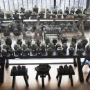 다육사랑화원 이미지