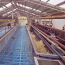 정읍 흑염소 이미지