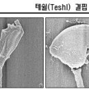 성비 이미지