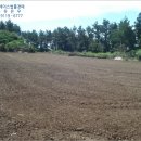 하모리-12 네이버블로그