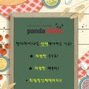 판다차이나