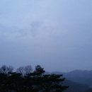 오늘장날 이미지