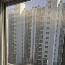 중동로 296 Daum카페