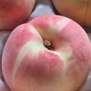 이례농장 이미지