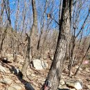 관악산 자연학습장 화장실 | 관악산 육봉 국기봉 // 현대 apt ~ 넝쿨숲 ~ 전망대...팔각정 ~ 자연학습장 ~ 현대 apt 9Km 가을 단풍...