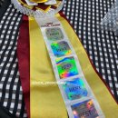 연호로 | [Tica Cat Show] 연아와 연호의 두번때 tica 캣쇼 후기/ 쇼 프로필 촬영까지