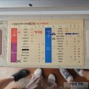 놀이:터 | 경주월드 놀이기구 탑승 후기 드라켄 섬머린스플래쉬 꿀팁