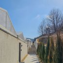 담양프로방스펜션E 네이버블로그