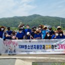 그리담 쿠키뉴스