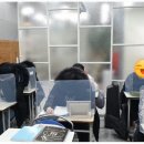 티오피솔루션