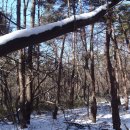 장원초등학교 이미지