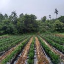 용골농원 이미지