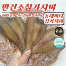 동해바다반건조 쇼핑하우