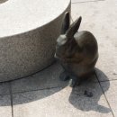 부천터미널소풍 이미지