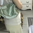 [colocynth] 콜로신스 글로시 펌킨 백 후기