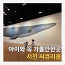 리움호스텔 | 서천 씨큐리움 후기, 아이와 꼭 가봐야 할 가성비 최고의 실내 여행지