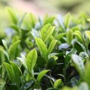 아이엔지광고 이미지