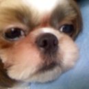 성일목욕탕 이미지