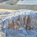 세종약품 주식회사 이미지