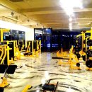 디자인 휘트니스 이미지