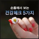 손톱에서 보는 건강체크 5가지 이미지