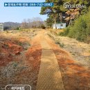 디와이조경