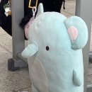 퍼노 라이프