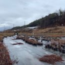 마산골농장 이미지