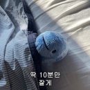 잭슨피자 이미지