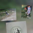 개울에서 퐁당한 여름 이미지