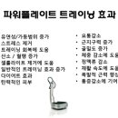 에이치 플레이트
