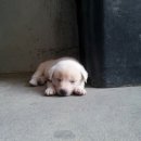 절골세천 이미지